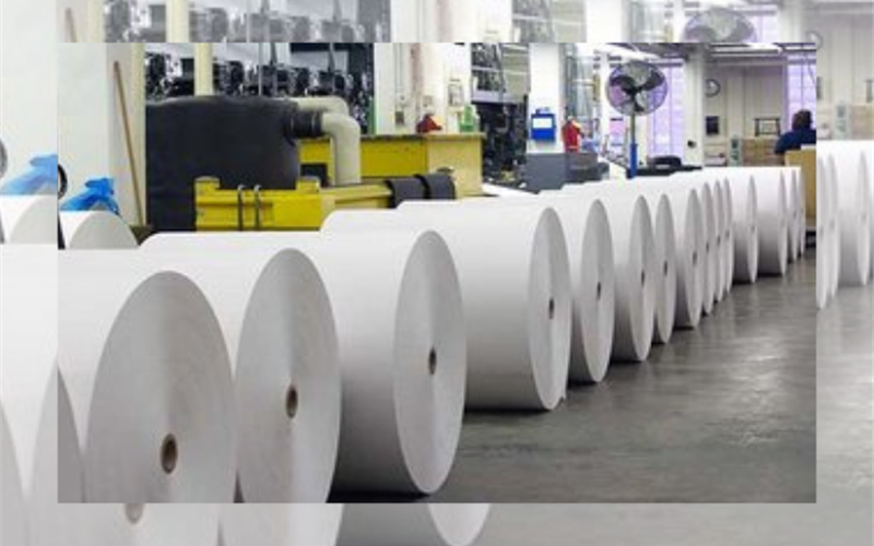 Emami Paper targets Rs 5000-cr by 2025